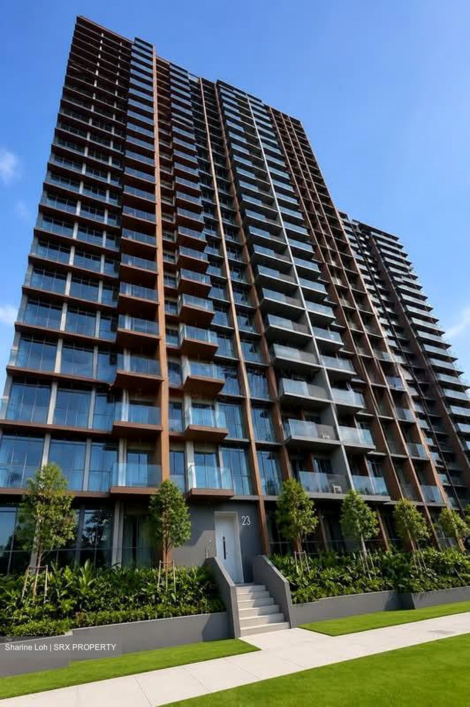 Amo Residence (D20), Apartment #556764471